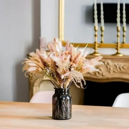 Centre Entierement Renove Nancy