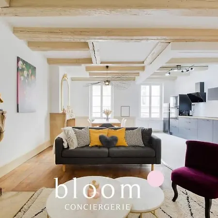 Apartament Centre Entierement Renove *