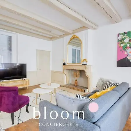 Apartament Centre Entierement Renove Nancy