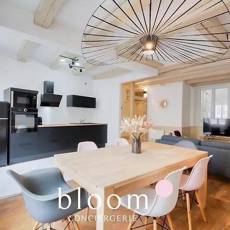 Centre Entierement Renove * Nancy