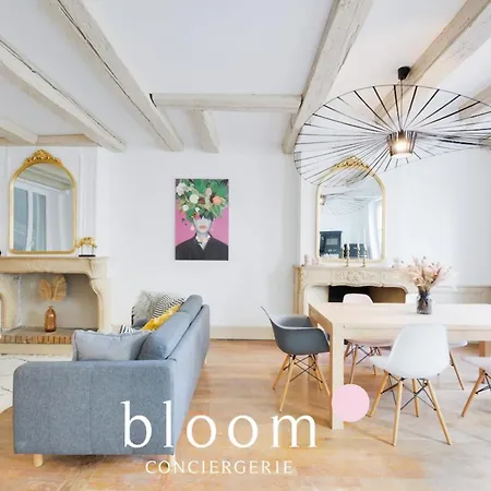 Centre Entierement Renove Apartament Nancy