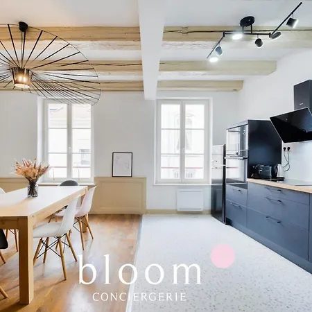 Apartament Centre Entierement Renove Nancy