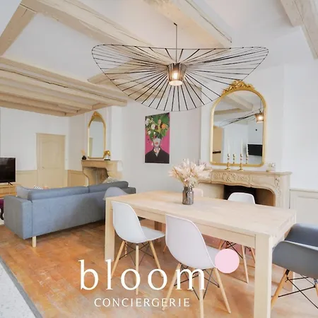 Centre Entièrement Rénové Appartamento Nancy