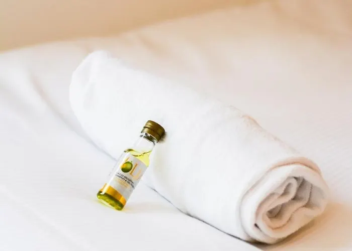 Centre Entièrement Rénové Appartamento Nancy